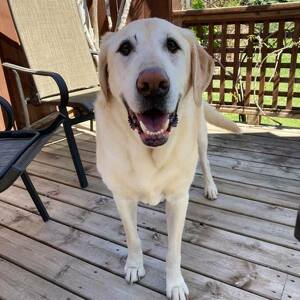 Fundraising Page: Ilia Murray